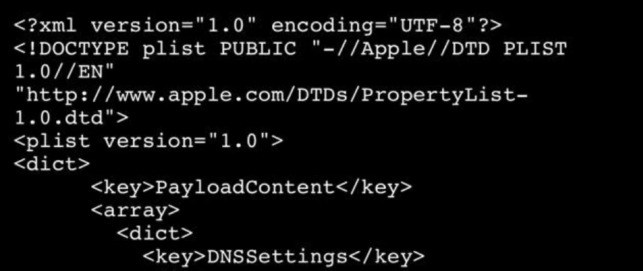 OpenBLD.net DNS iOS xml configuration profile