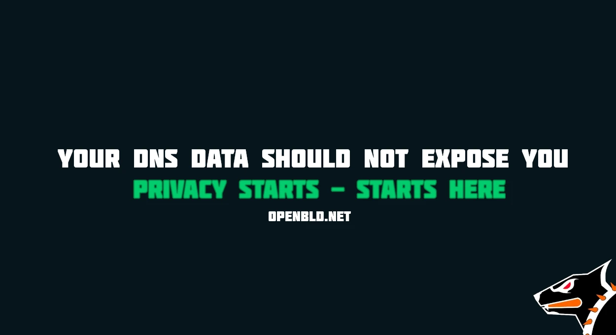 🥷 OpenBLD.net — IP Anonymization Implemented