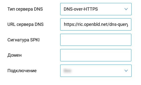 Setup OpenBLD.net on Keenetic DoH DNS settings